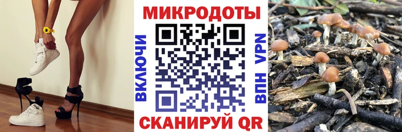 как найти   Пугачёв  Галлюциногенные грибы Magic Shrooms 